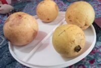 Oplus_131072