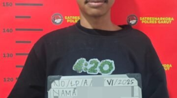 Polres Garut Kembali Ungkap Kasus Peredaran Tembakau Sintetis,Seorang Oknum Mahasiswa Diamankan