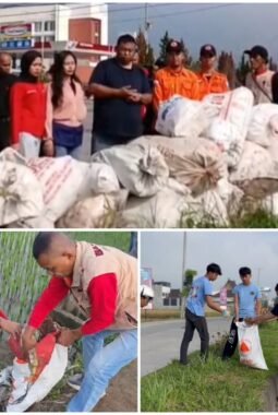 berita-rekomendasi-foto