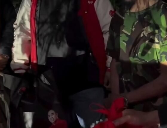 foto slider headline