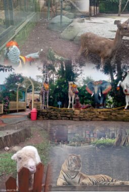 berita-rekomendasi-foto