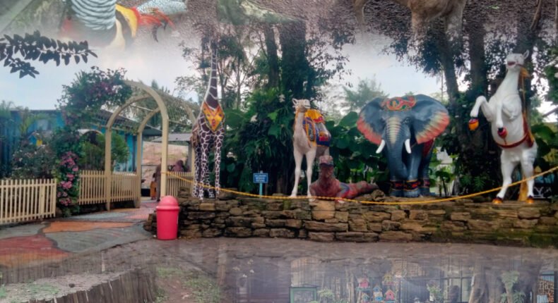 foto slider headline